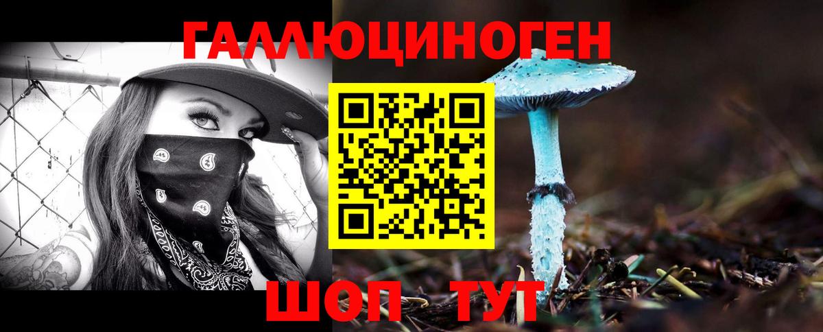 Псилоцибиновые грибы Cubensis Кировск