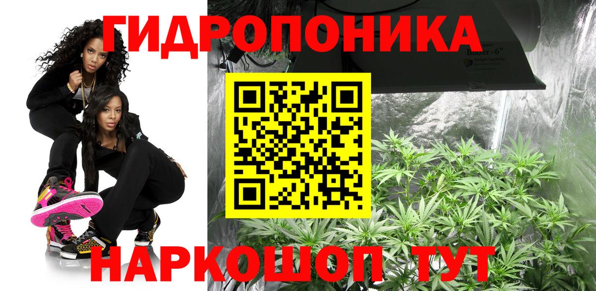 Марихуана SATIVA & INDICA Кировск